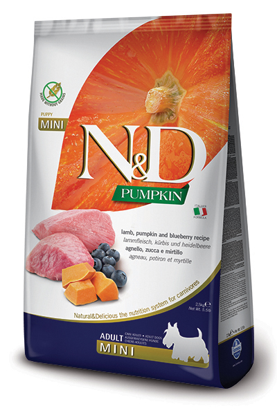 Lamb, Pumpkin & Blueberry Adult mini
